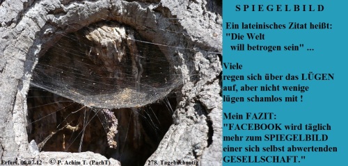 SSW278.Gedanke_Spiegelbild