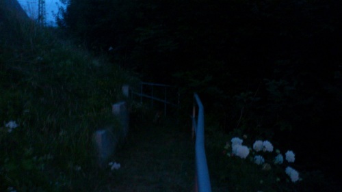 FUCHS in der NACHT in der STADT 12.7.13