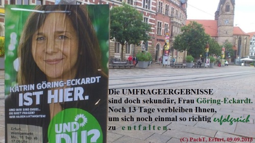 WahlKampfBeobachtung 2013 - 14 GrueneEntFaltung