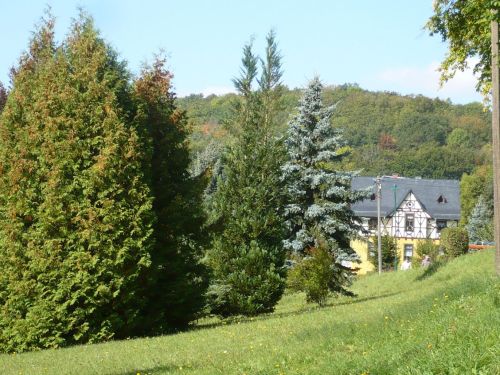 Tabarz Wanderung 4_08