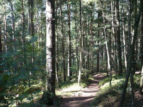 Tabarz Wanderung 4_04