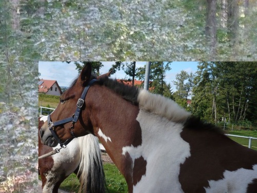 Tabarz Wanderung 4_02