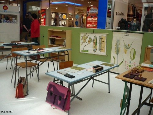 NOSTalgie-Ausstellung 2013_14