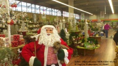 KURIOS 0XL VOR-Weihnachte 81 Tagen