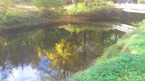 Weimar Ilmpark HerbstImpression