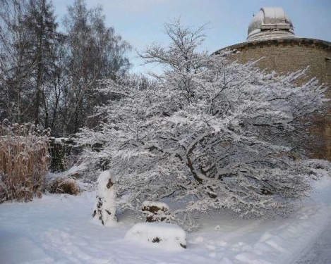 ega-Park Erfurt Winter 1