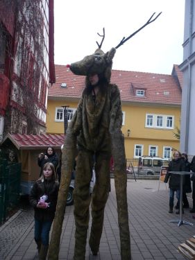 2013 Arnstadt Advent-Impressionen 