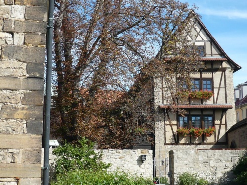 Erfurt Augustinerkloster Innenhof 2