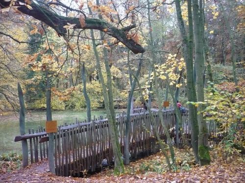 BaumKronenPfad 05 Okt.2012