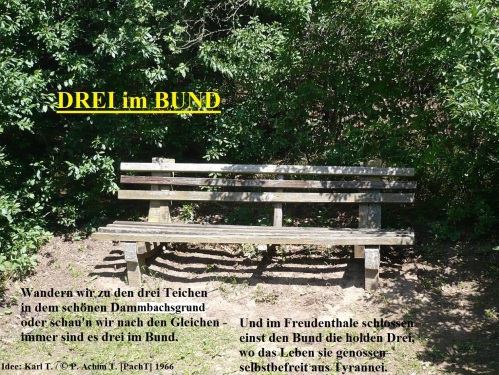 Drei im Bund