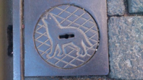 Erfurt _ Thüringen Landeshauptstadt 11 Regiergstr.