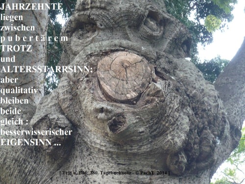 SSW380.Gedanke_EigenSINN