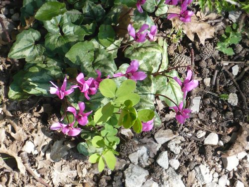 036 Vrbnik _ Impressionen 8