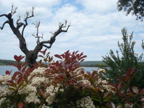 021 Punat _ Impressionen 2