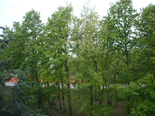 003 Blick vom Hotelzimmer 336