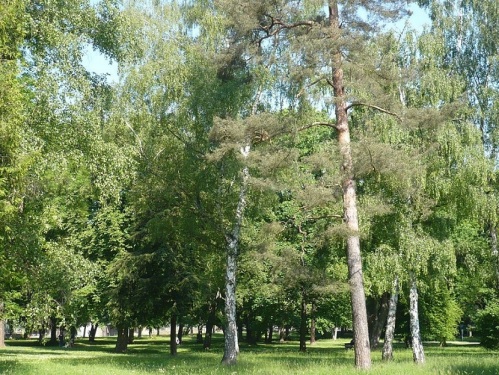 Südpark 