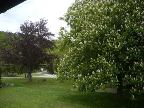 Bad Sulza 18 Kurpark