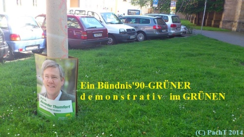 2014 11 Ein GRÜNER im GRÜNEN