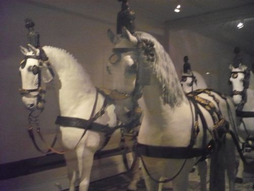 Sondershausen 22 SchlossMuseum Impression