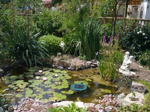 MHL  Garten-Impressionen