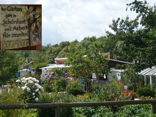 MHL  Garten-Impressionen