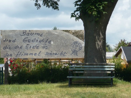 MHL  Garten-Impressionen