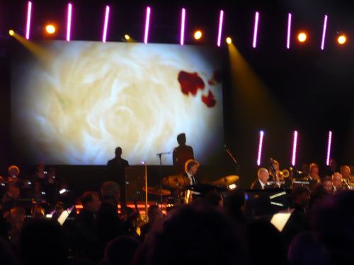 2014 MDR MusikSommer 17