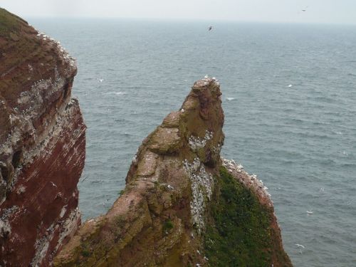 Nordsee-Urlaub 59 HELGOLAND-Impressionen