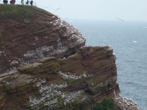 Nordsee-Urlaub 56 HELGOLAND-Impressionen