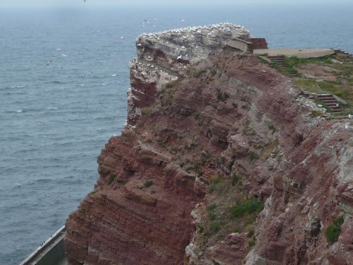 Nordsee-Urlaub 55 HELGOLAND-Impressionen