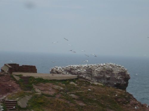 Nordsee-Urlaub 54 HELGOLAND-Impressionen