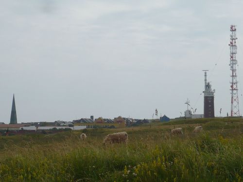 Nordsee-Urlaub 47 HELGOLAND-Impressionen