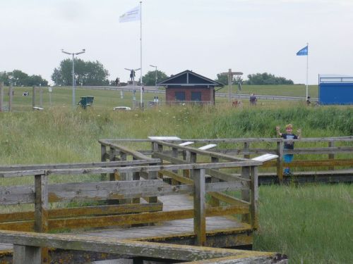 Nordsee-Urlaub 25 Ansichten_Watt