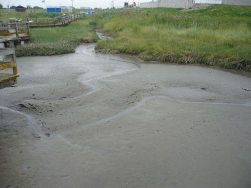 Nordsee-Urlaub 24 Ansichten_Watt