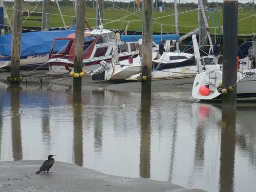 Nordsee-Urlaub 21 Hafenbilder