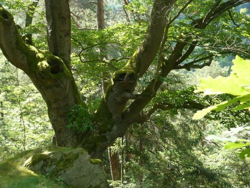 Schwarzburg 2013 - Impressionen 16