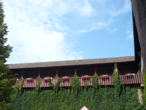 Nürnberg 093 Die Kaiserburg