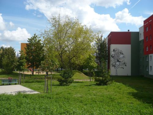 Wiesenhügel 