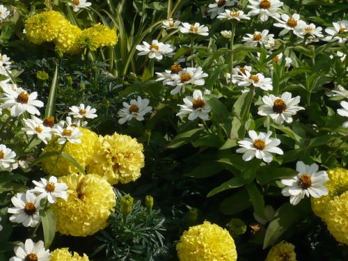 2014.08. egaPark ThürGartenTAG 12