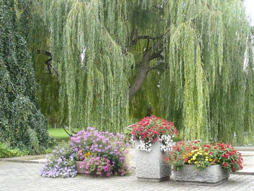 2014.08. egaPark ThürGartenTAG 09