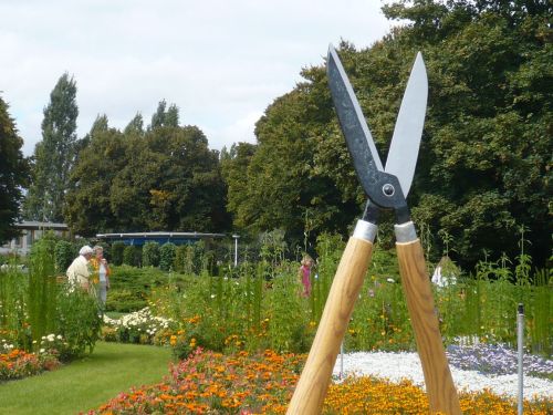 2014.08. egaPark ThürGartenTAG 02 Großes Blumenfeld
