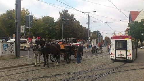 Domplatz TouristenAmbiente
