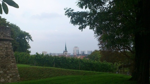 Petersberg Blick über die Stadt