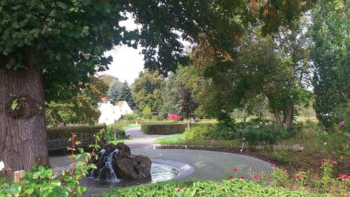 2014.09.24 BdLangensalza 11 RosenGarten