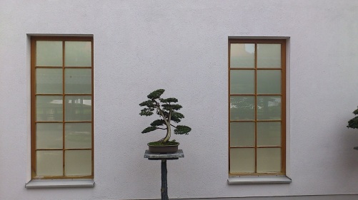 2014.09.24 BdLangensalza 09 JapanGarten