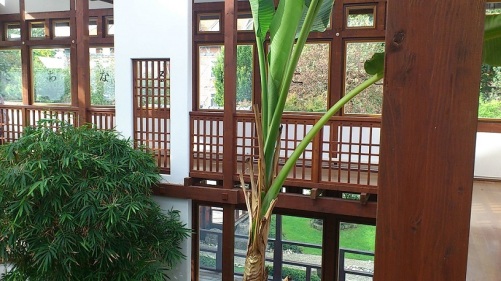 2014.09.24 BdLangensalza 08 JapanGarten