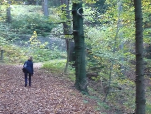 2014.10.18. Von Elgersburg zur Hohen Warte 12