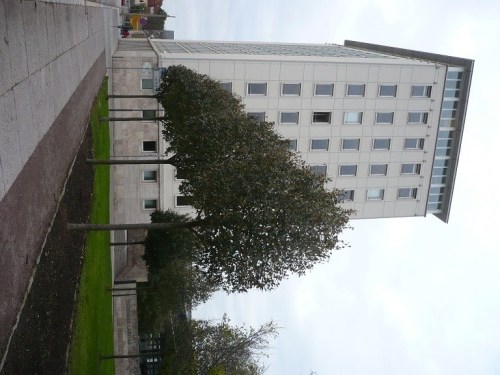 Thür. LandTag 02 Verwaltung _ EIERKISTE 1953 RdB