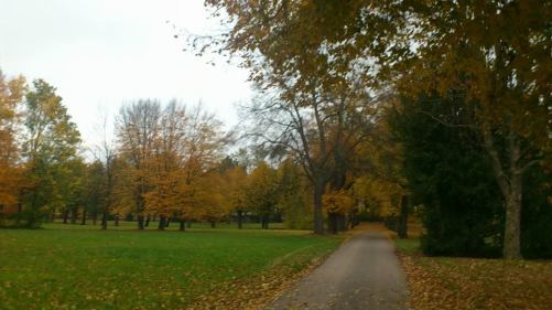 49 Arnstadt Schlosspark i. Herbst