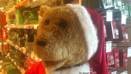 Weihnachtsmann, der singen kann